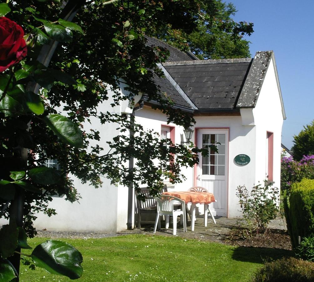 Holiday home Clonmoylan - Rose Galway